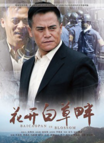 我的儿子的女人